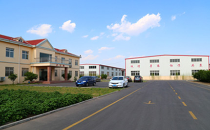 �P�����d